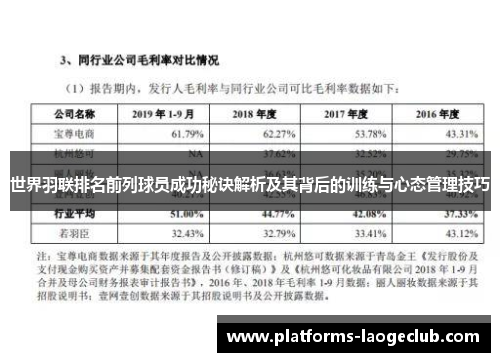 世界羽联排名前列球员成功秘诀解析及其背后的训练与心态管理技巧 世界羽联排名前列球员成功秘诀解析及其背后的训练与心态管理技巧
