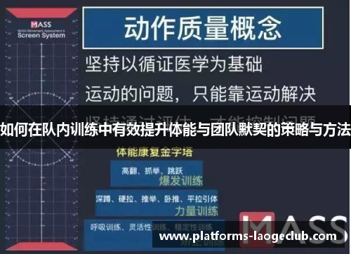 如何在队内训练中有效提升体能与团队默契的策略与方法 如何在队内训练中有效提升体能与团队默契的策略与方法
