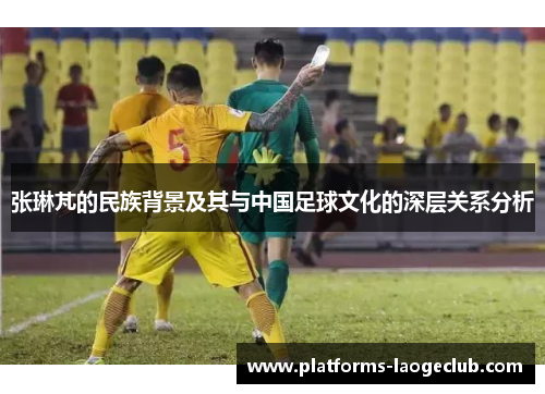 张琳芃的民族背景及其与中国足球文化的深层关系分析 张琳芃的民族背景及其与中国足球文化的深层关系分析