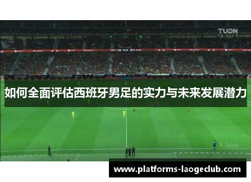 如何全面评估西班牙男足的实力与未来发展潜力