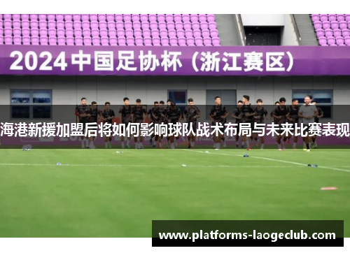 海港新援加盟后将如何影响球队战术布局与未来比赛表现