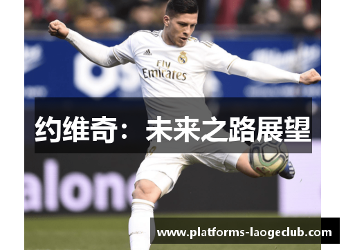 约维奇:未来之路展望 约维奇:未来之路展望