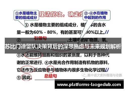 苏比门迪留队决策背后的深思熟虑与未来规划解析 苏比门迪留队决策背后的深思熟虑与未来规划解析