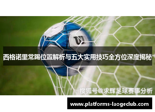 西格诺里常踢位置解析与五大实用技巧全方位深度揭秘 西格诺里常踢位置解析与五大实用技巧全方位深度揭秘