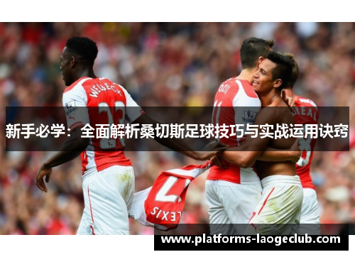新手必学：全面解析桑切斯足球技巧与实战运用诀窍