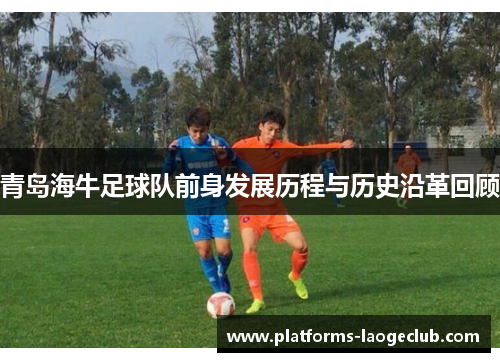青岛海牛足球队前身发展历程与历史沿革回顾