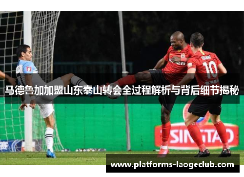 马德鲁加加盟山东泰山转会全过程解析与背后细节揭秘