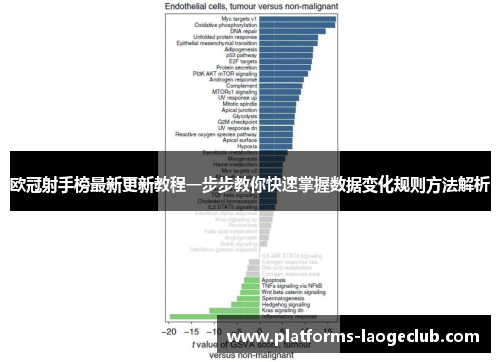 欧冠射手榜最新更新教程一步步教你快速掌握数据变化规则方法解析 欧冠射手榜最新更新教程一步步教你快速掌握数据变化规则方法解析